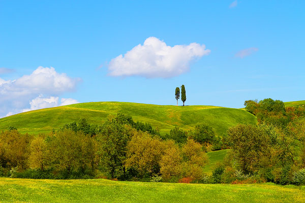 Guide to the Perfect Tuscany Road Trip Guide to the Perfect Tuscany Road Trip