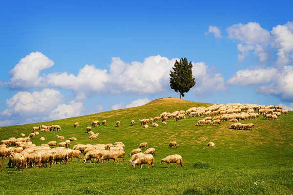 Guide to the Perfect Tuscany Road Trip Guide to the Perfect Tuscany Road Trip