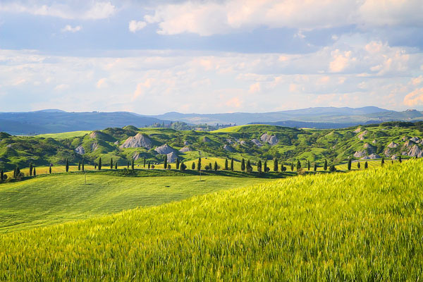Guide to the Perfect Tuscany Road Trip Guide to the Perfect Tuscany Road Trip