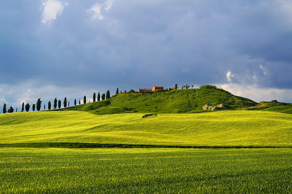Guide to the Perfect Tuscany Road Trip Guide to the Perfect Tuscany Road Trip