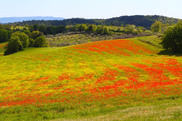 Tuscany Tuscany
