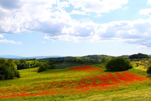 Tuscany Tuscany