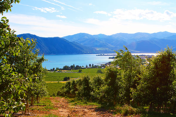 Benson Vineyards on Lake Chelan, Washington State Benson Vineyards on Lake Chelan, Washington State
