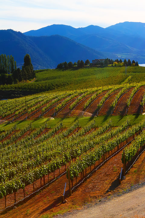 Benson Vineyards on Lake Chelan, Washington State Benson Vineyards on Lake Chelan, Washington State