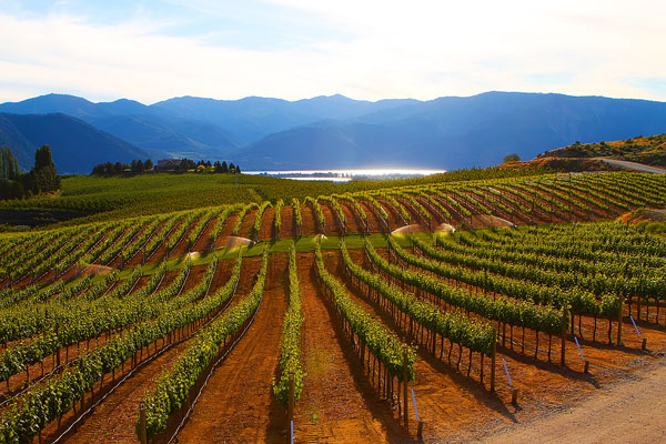 Benson Vineyards on Lake Chelan, Washington State Benson Vineyards on Lake Chelan, Washington State