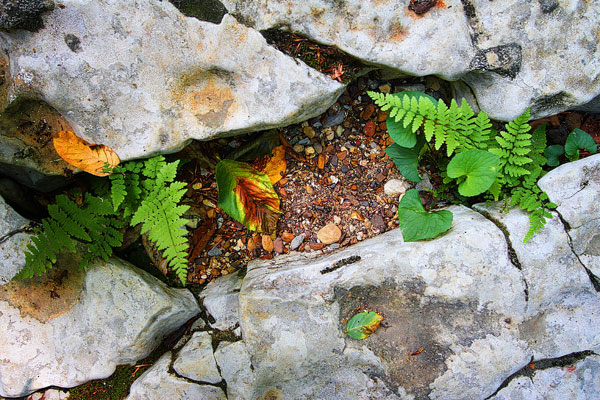 Walls of Jericho Hiking Trail, Alabama Walls of Jericho Hiking Trail, Alabama