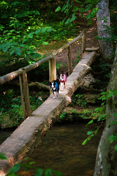 Walls of Jericho Hiking Trail, Alabama Walls of Jericho Hiking Trail, Alabama