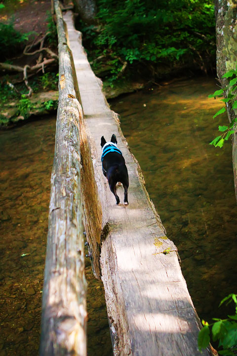 Walls of Jericho Hiking Trail, Alabama Walls of Jericho Hiking Trail, Alabama