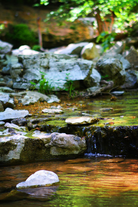 Walls of Jericho Hiking Trail, Alabama Walls of Jericho Hiking Trail, Alabama