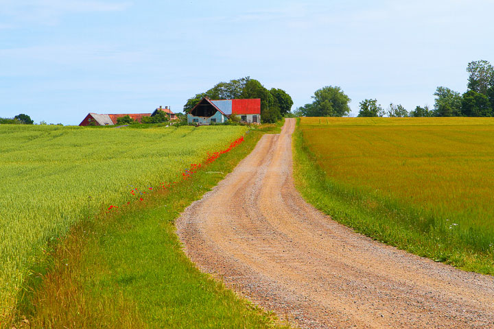 Biking Adventure in Osterlen | Discovering Sweden's Beautiful Countryside Biking Adventure in Osterlen | Discovering Sweden's Beautiful Countryside