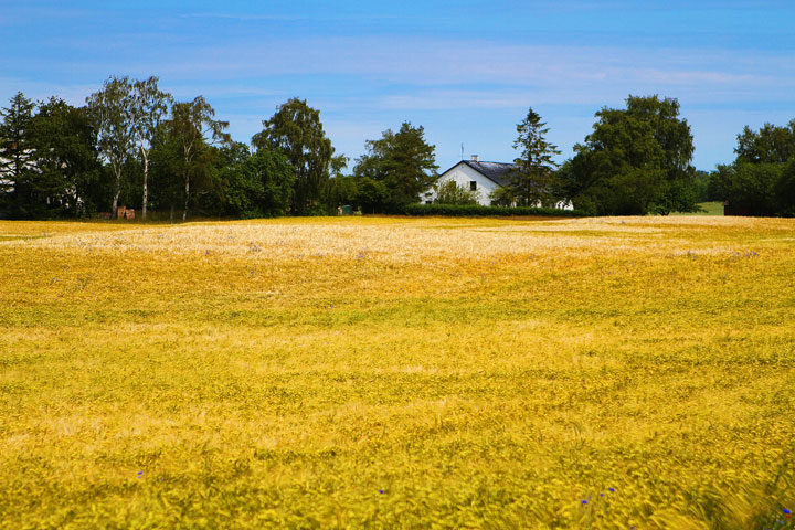 Biking Adventure in Osterlen | Discovering Sweden's Beautiful Countryside Biking Adventure in Osterlen | Discovering Sweden's Beautiful Countryside