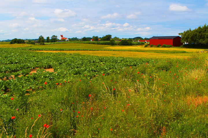 Biking Adventure in Osterlen | Discovering Sweden's Beautiful Countryside Biking Adventure in Osterlen | Discovering Sweden's Beautiful Countryside