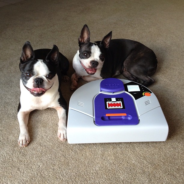 Neato Robot Vacuum Cleaner Review
