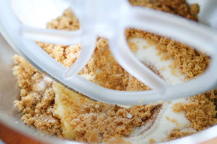 Cinnamon Blueberry Biscoff Breakfast Cookies Cinnamon Blueberry Biscoff Breakfast Cookies