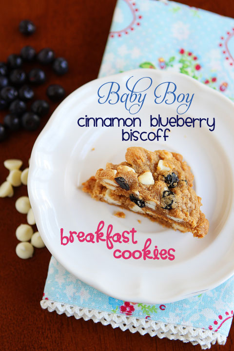Cinnamon Blueberry Biscoff Breakfast Cookies Cinnamon Blueberry Biscoff Breakfast Cookies