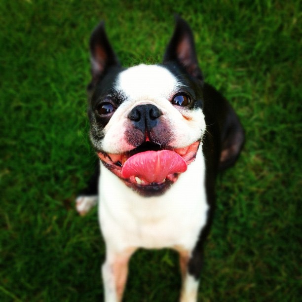 Best Camera Apps for iPhone and Android Best Camera Apps for iPhone and Android