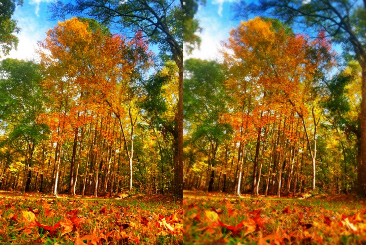 Best Camera Apps for iPhone and Android Best Camera Apps for iPhone and Android