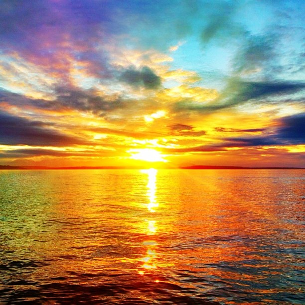 Best Camera Apps for iPhone and Android Best Camera Apps for iPhone and Android