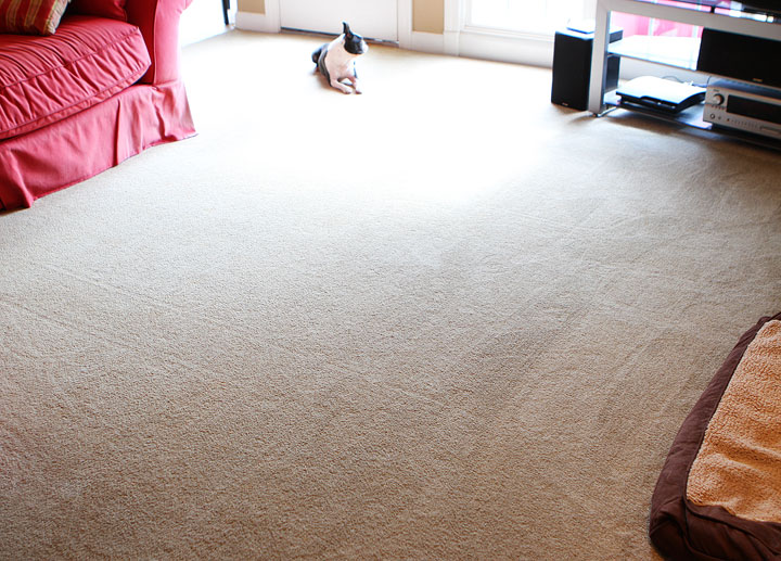 Neato Robot Vacuum Cleaner Review Neato Robot Vacuum Cleaner Review