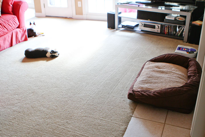 Neato Robot Vacuum Cleaner Review Neato Robot Vacuum Cleaner Review