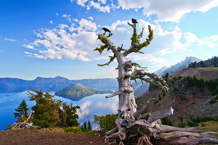 { PHOTOS } Crater Lake, Oregon: Home of the remarkably blue, crystal clear waters of the nation's deepest lake. www.kevinandamanda.com #travel { PHOTOS } Crater Lake, Oregon: Home of the remarkably blue, crystal clear waters of the nation's deepest lake. www.kevinandamanda.com #travel