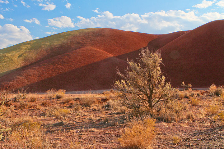 The Painted Hills, Oregon The Painted Hills, Oregon