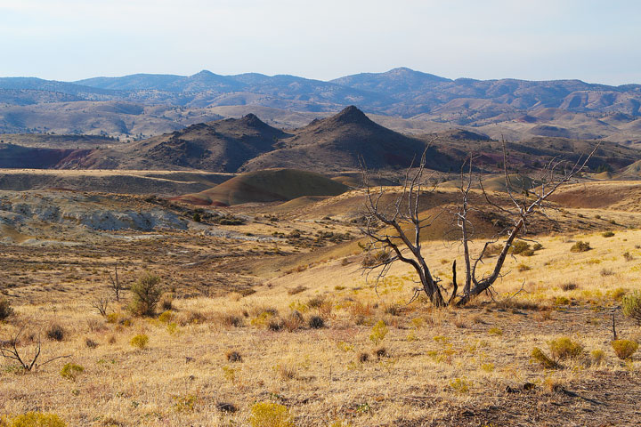 The Painted Hills, Oregon The Painted Hills, Oregon