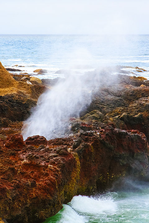 { PHOTOS } Spouting Horn and Thor's Well at Cape Perpetua in Yachats, Oregon www.kevinandamanda.com #travel #landscapes #ocean { PHOTOS } Spouting Horn and Thor's Well at Cape Perpetua in Yachats, Oregon www.kevinandamanda.com #travel #landscapes #ocean