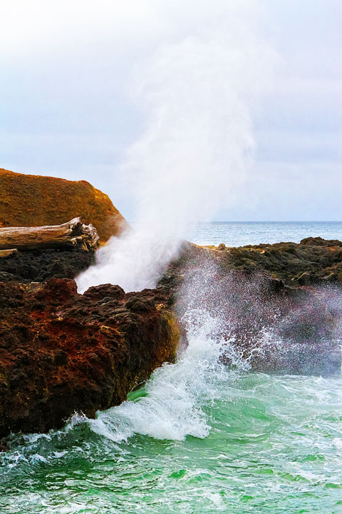{ PHOTOS } Spouting Horn and Thor's Well at Cape Perpetua in Yachats, Oregon www.kevinandamanda.com #travel #landscapes #ocean { PHOTOS } Spouting Horn and Thor's Well at Cape Perpetua in Yachats, Oregon www.kevinandamanda.com #travel #landscapes #ocean