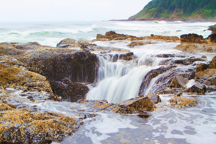 { PHOTOS } Spouting Horn and Thor's Well at Cape Perpetua in Yachats, Oregon www.kevinandamanda.com #travel #landscapes #ocean { PHOTOS } Spouting Horn and Thor's Well at Cape Perpetua in Yachats, Oregon www.kevinandamanda.com #travel #landscapes #ocean