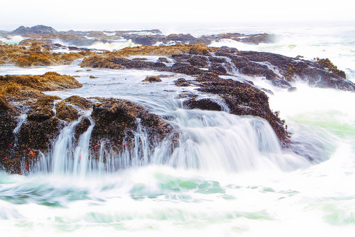 { PHOTOS } Spouting Horn and Thor's Well at Cape Perpetua in Yachats, Oregon www.kevinandamanda.com #travel #landscapes #ocean { PHOTOS } Spouting Horn and Thor's Well at Cape Perpetua in Yachats, Oregon www.kevinandamanda.com #travel #landscapes #ocean
