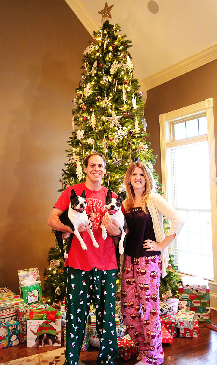 Miley and Howie Boston Terrier Christmas Miley and Howie Boston Terrier Christmas