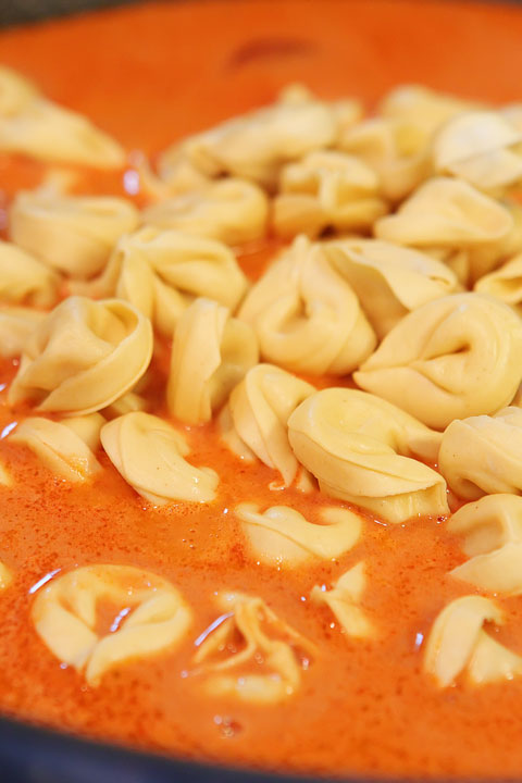 Cheesy Sausage Tortellini Recipe. SO GOOD! One dish, and done in 30 mins or less. www.kevinandamanda.com Cheese and Sausage Tortellini Pasta Recipe