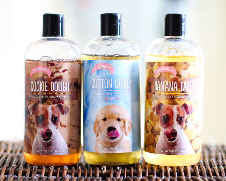Cookie Dough & Cotton Candy Puppy Shampoo! Cookie Dough & Cotton Candy Puppy Shampoo!