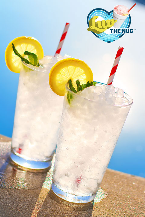 Residential Nugget Ice Machine for Chewable Ice at Home