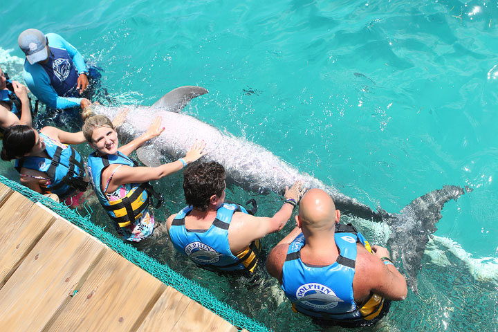 Swimming with the Dolphins in Cancun, Mexico. #travel #cancun #mexico