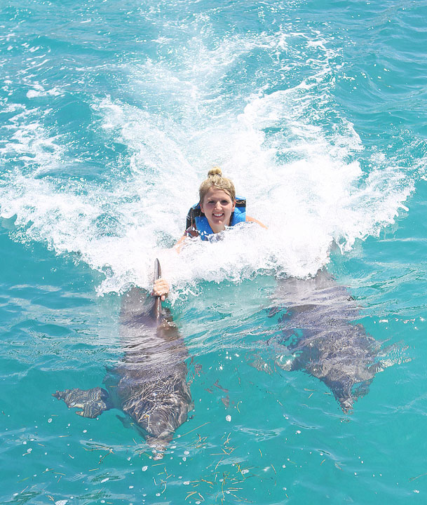 Swimming with the Dolphins in Cancun, Mexico. #travel #cancun #mexico