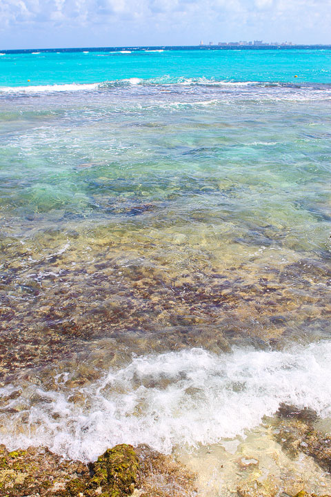 Swimming with the Dolphins in Cancun, Mexico. #travel #cancun #mexico