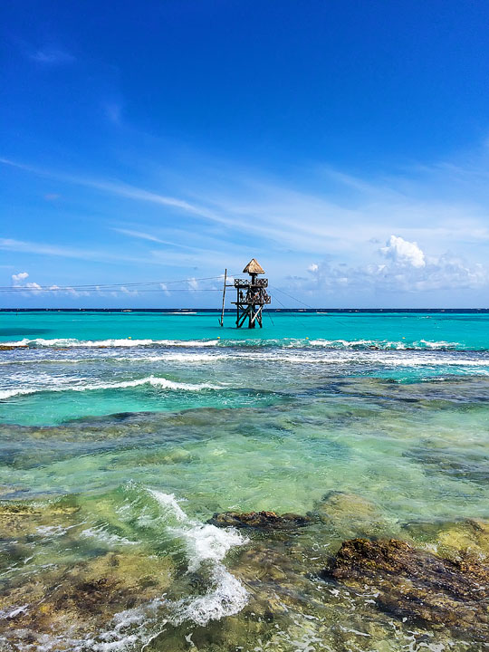 Swimming with the Dolphins in Cancun, Mexico. #travel #cancun #mexico