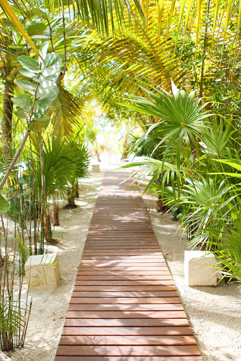 Incredible travel photos from the enchanted island of Isla Holbox off the coast of Cancun, Mexico. You must see this island once before you die. #travel #cancun #mexico
