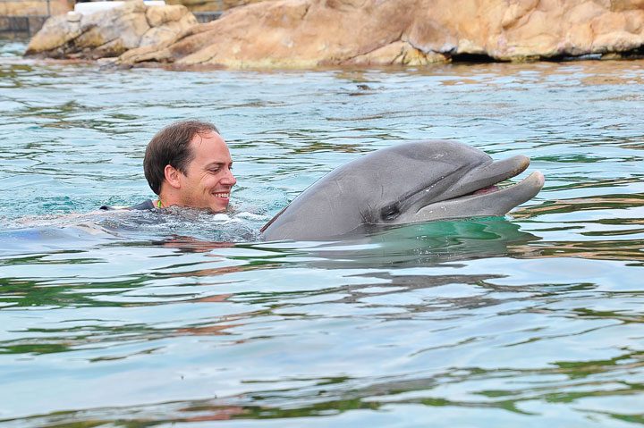 Swimming With Dolphins Orlando
