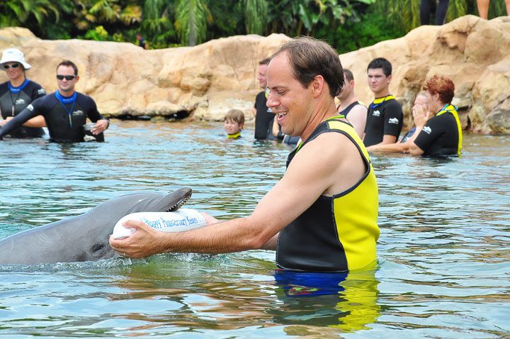Where To Swim With Dolphins