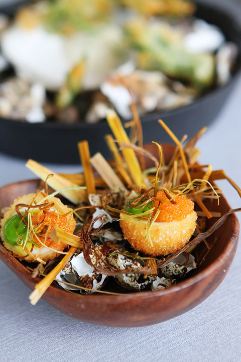 The Upper House Dining Experience in Gothenburg, Sweden. Swedish fine dining and experimental cuisine. A six-course meal with six appetizers, six entrees, and 7 desserts!!