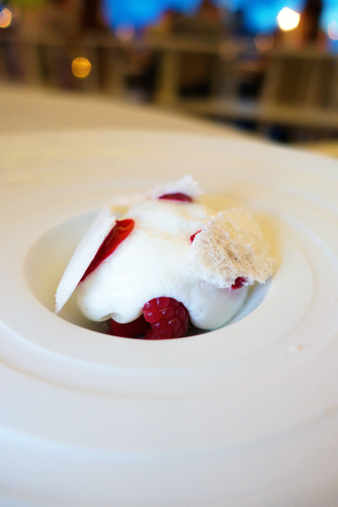 The Upper House Dining Experience in Gothenburg, Sweden. Swedish fine dining and experimental cuisine. A six-course meal with six appetizers, six entrees, and 7 desserts!!