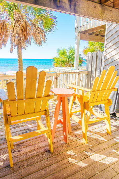 Dog Friendly Beach In Florida