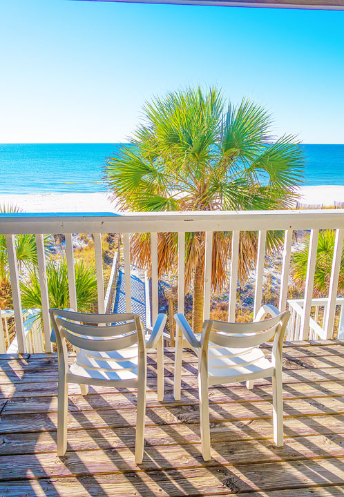Best Pet Friendly Condos In Florida