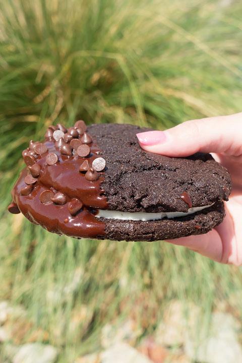 Chocolate Dipped Double Chocolate Chip Cookie Sandwich Image of a Chocolate Dipped Double Chocolate Chip Cookie Sandwich From Sassy's Bakery Case