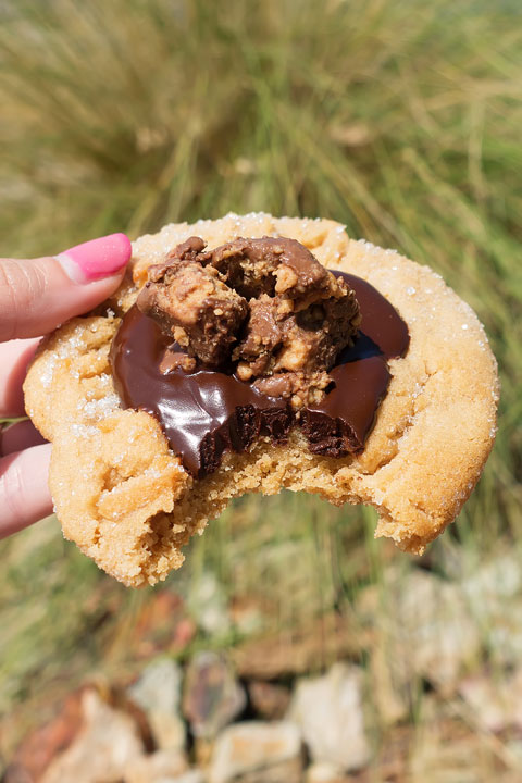 Peanut Butter Cup Cookie Image of a Peanut Butter Cup Cookie from Sassy's Bakery Case