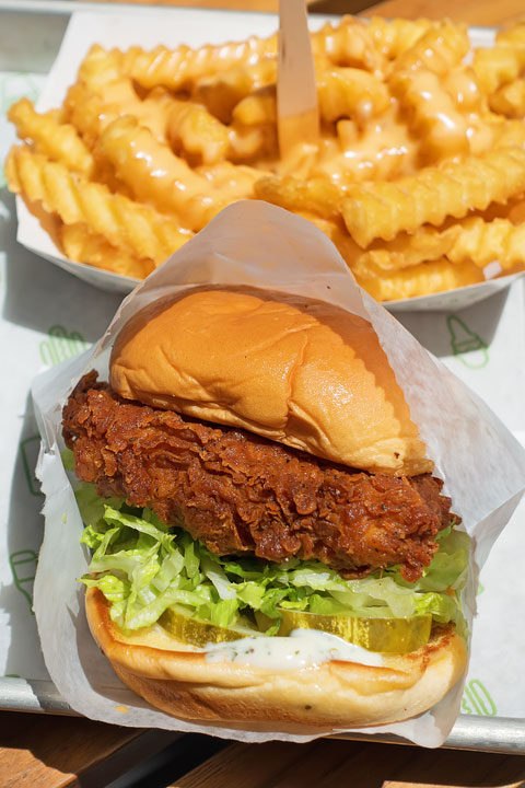Chicken Sandwich from Shake Shack Image of a Chicken Sandwich from Shake Shack