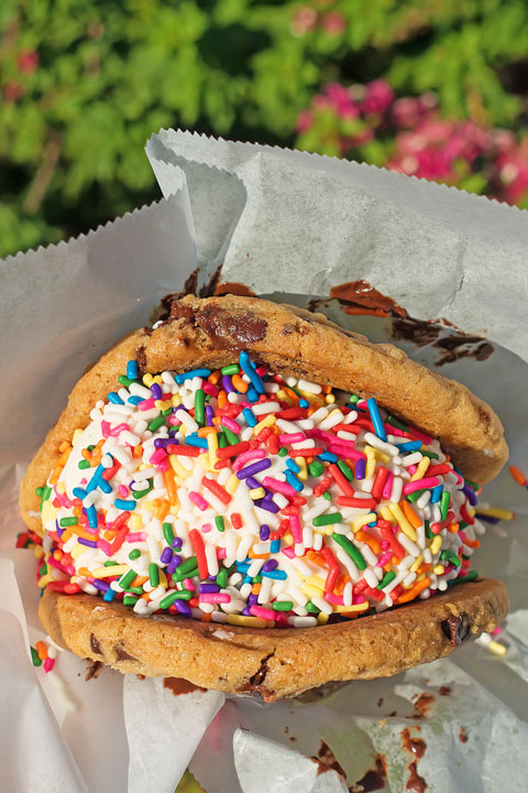 Salted Chocolate Chip Cookie Sandwich from Churn Image of a Salted Chocolate Chip Cookie Sandwich from Churn